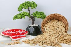 Haluk Aydın Kuruyemiş Kavrulmuş Nevşehir Tuzlu Kabak Çekirdeği 1 KG