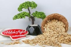 Haluk Aydın Nuts Roasted Nevşehir Salted Pumpkin Seeds 500 G