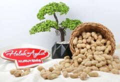 Haluk Aydın Kuruyemiş Kabuklu Fıstık Tuzsuz 500 G