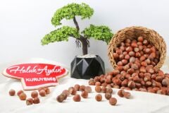 Haluk Aydın Kuruyemiş Kabuklu Tuzsuz Fındık 500 G