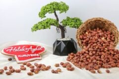 Haluk Aydın Kuruyemiş Tuzlu Fıstık İçi 1 KG