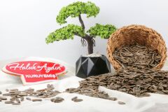 Haluk Aydın Kuruyemiş Kavrulmuş Yerli Tuzsuz Siyah Ay Çekirdeği 1 KG