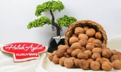 Haluk Aydın Kuruyemiş Kabuklu Ceviz 1 KG