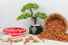 Haluk Aydın Kuruyemiş Çiğ Kayısı Çekirdeği 1 KG